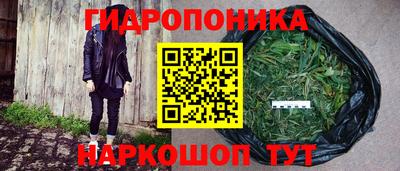 спайс Обь